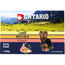 Vaničky pro psy Ontario