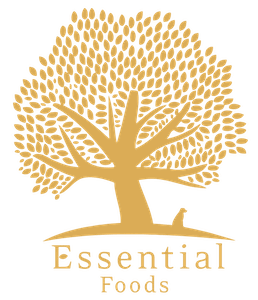 Essential-Logo