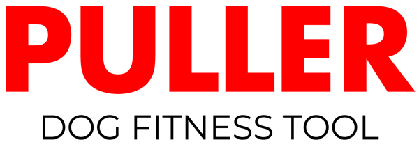 logo_puller_