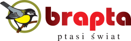 Brapta logo