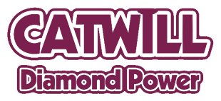 Catwill logo