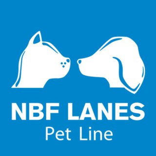 NBF Lanes Srl logo