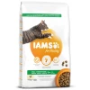 Granule IAMS pro kočky