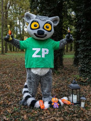 Čau tady Zipi!🎃 Halloween se tiše,ale jistě blíží,tak nepropásni naše strašidla! 👻 Odkaz tě bude strašit v biu 💀