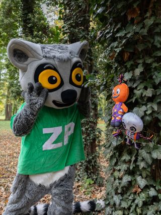 Čau tady Zipi!💚🎃 Utekly mi strašidla! 👻 Hledal jsem je všude a nakonec nějaké našel v lese!🌲 Pomůžeš mi je najít?😱 Klikni...