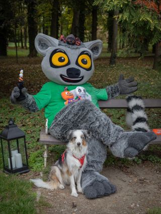 Čau tady Zipi! 💚 Halloween se blíží strašidelně rychle 🧐 A ty ještě nemáš doma Zipiho strašáka? 👻 Nemeškej a...