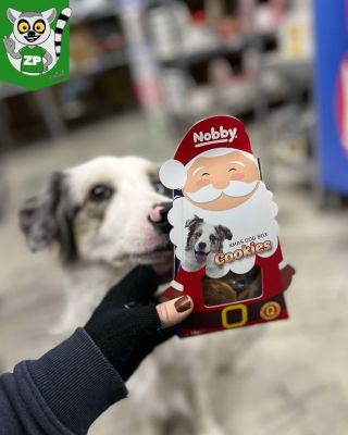 Vánoce už voní… sušenkama! 🍪🎅 Wína už testuje první vánoční dobroty pro pejsky a vypadá to, že schvaluje na jedničku! 🐶💚...
