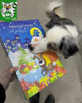 Čau tady Wína!💚 Už se nám to blíží!! 💚😍 V pondělí otevřeme první políčko!🥳 Pro případ,že nemáš,klikni na odkaz pod...